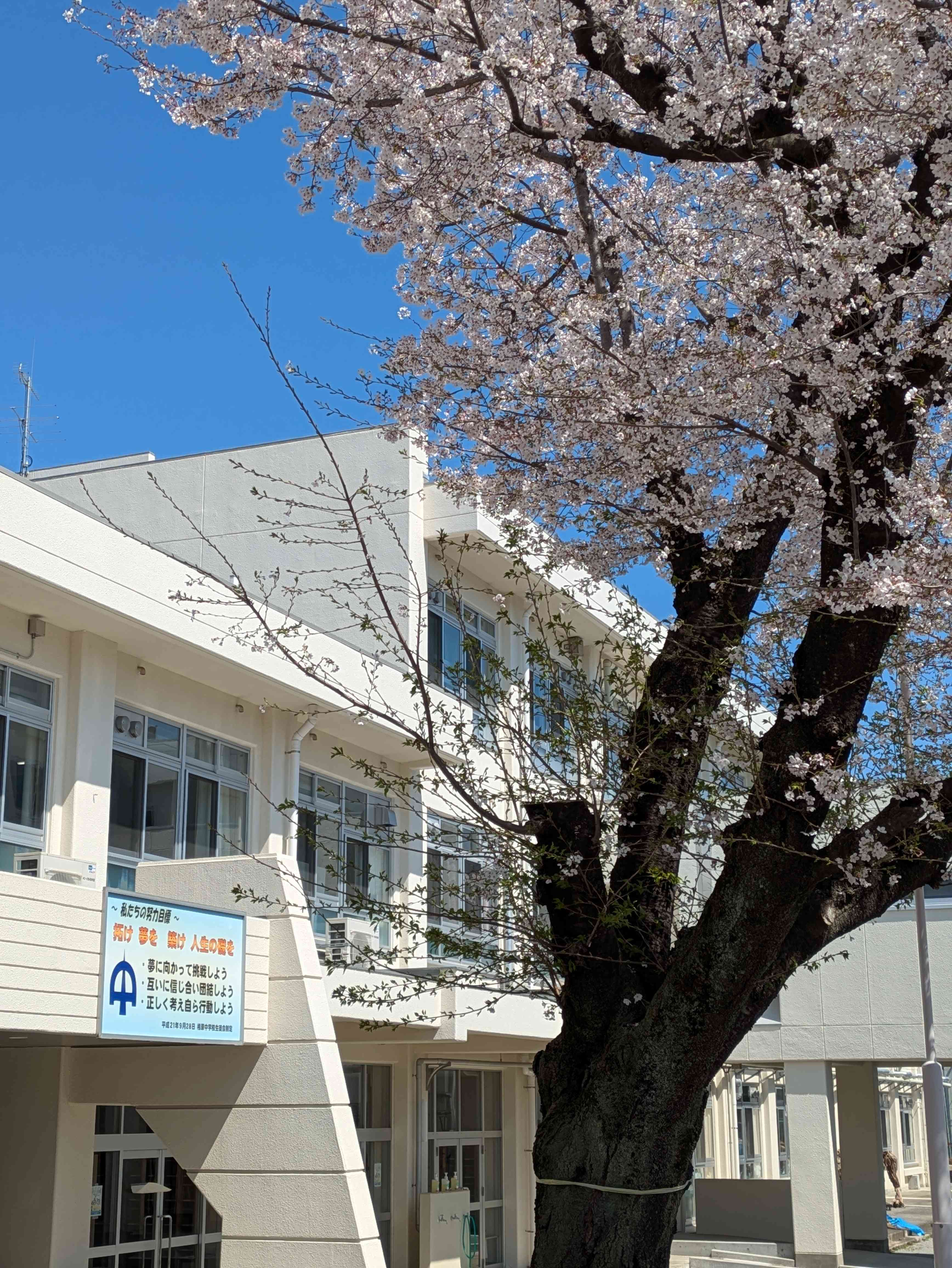 PXL_20260403_033107490