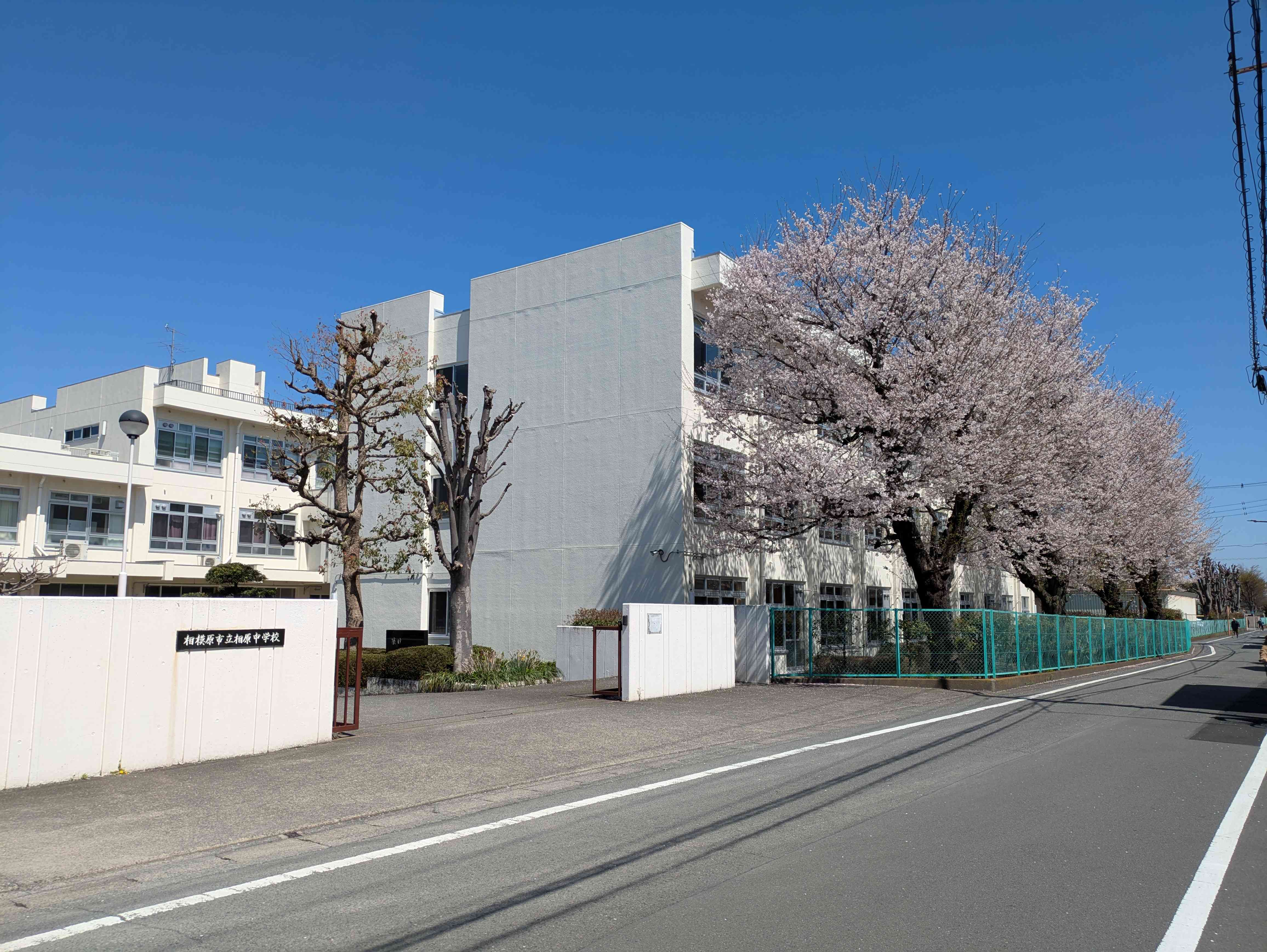 PXL_20260403_032921166